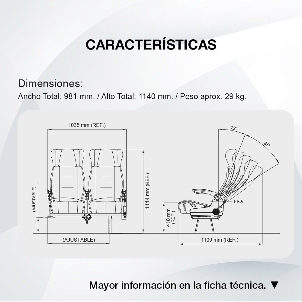 Diagrama Asiento Platino